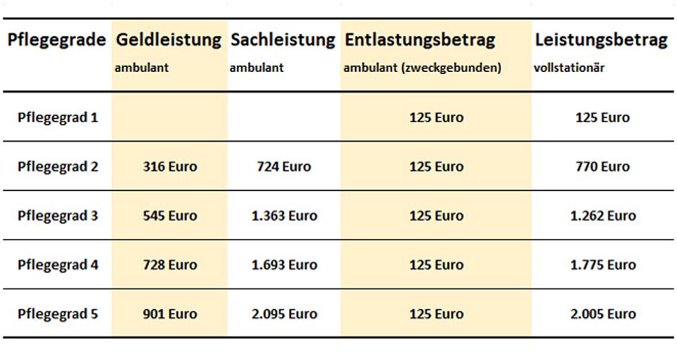 Die Leistungen der Pflegeversicherung